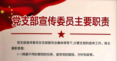 黨支部宣傳紀檢委員職責