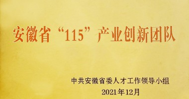 蕪湖市市委組織部為華夏光電安徽省“115”產(chǎn)業(yè)創(chuàng)新團(tuán)隊授牌